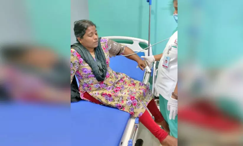 10 people injured due to bee stings in Malur