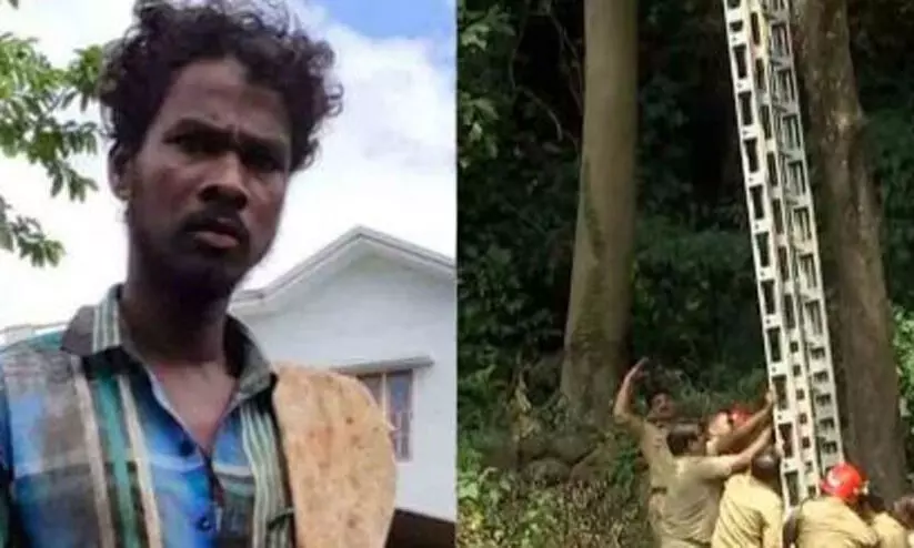 Viswanathan Viswanathan