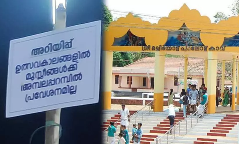 malliyott kavu 8977856