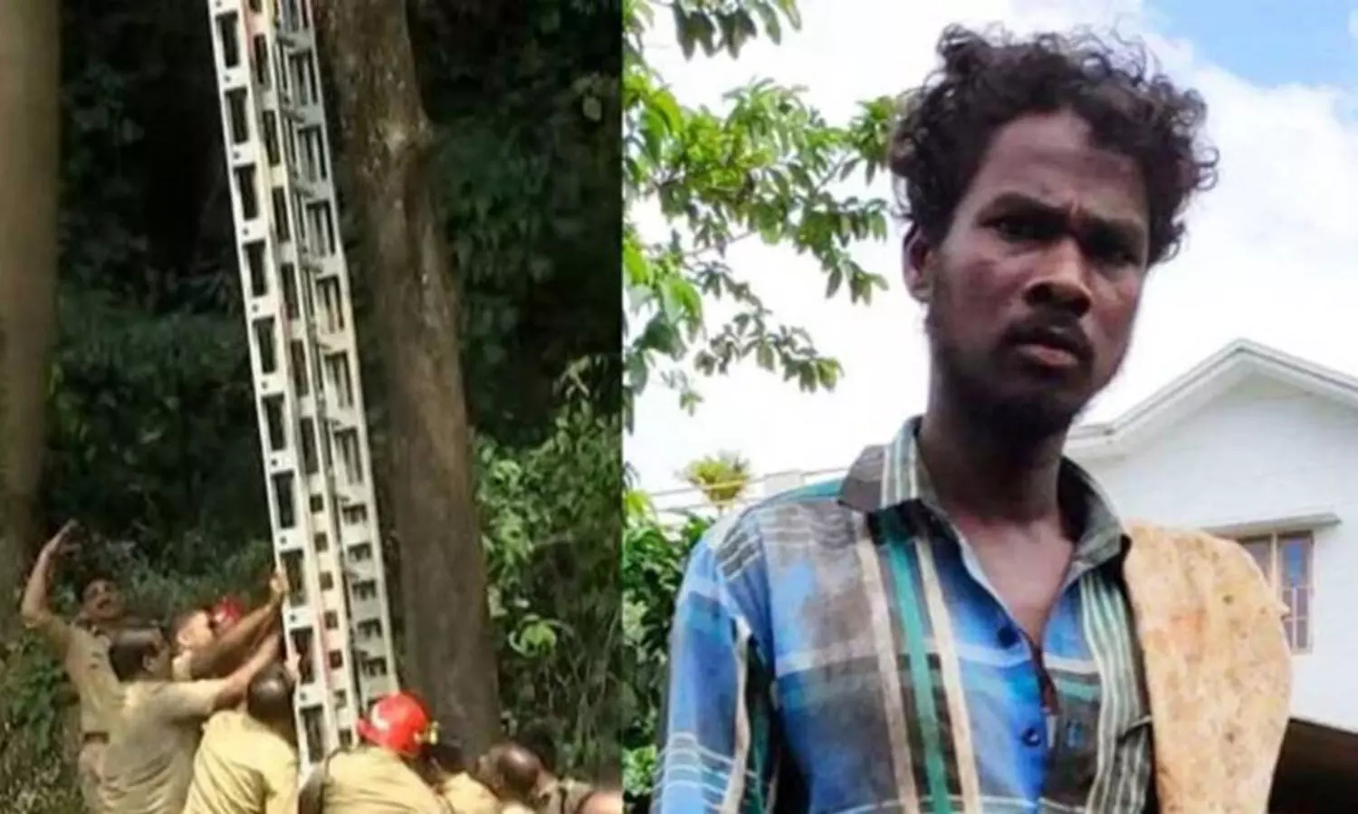 വിശ്വനാഥന്റെ മരണം: പട്ടികജാതി ഗോത്രകമീഷന്റെ സിറ്റിങിൽ പൊലീസിന് രൂക്ഷ വിമർശനം