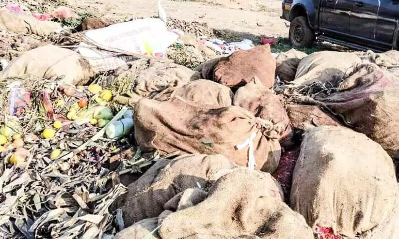 മാലിന്യം നീക്കിയിട്ട് രണ്ടാഴ്ച; പകർച്ചവ്യാധി ഭീതിയിൽ ആലുവ മാർക്കറ്റ് മാലിന്യം നീക്കിയിട്ട് രണ്ടാഴ്ച; പകർച്ചവ്യാധി ഭീതിയിൽ ആലുവ മാർക്കറ്റ്