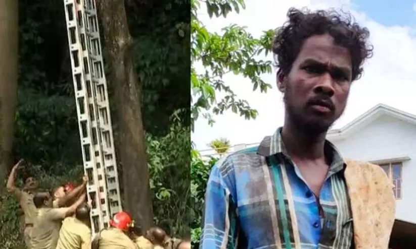 വിശ്വനാഥന്റെ മരണം: പട്ടികജാതി ഗോത്രകമീഷന്റെ സിറ്റിങിൽ പൊലീസിന് രൂക്ഷ വിമർശനം വിശ്വനാഥന്റെ മരണം: പട്ടികജാതി ഗോത്രകമീഷന്റെ സിറ്റിങിൽ പൊലീസിന് രൂക്ഷ വിമർശനം