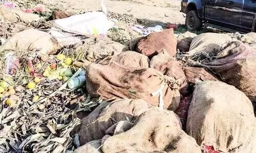 മാലിന്യം നീക്കിയിട്ട് രണ്ടാഴ്ച; പകർച്ചവ്യാധി ഭീതിയിൽ  ആലുവ മാർക്കറ്റ്