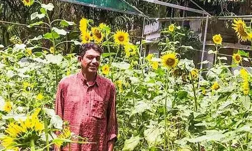 ഇത്തിരി വട്ടത്തിൽ ഒത്തിരി പൂക്കൾ