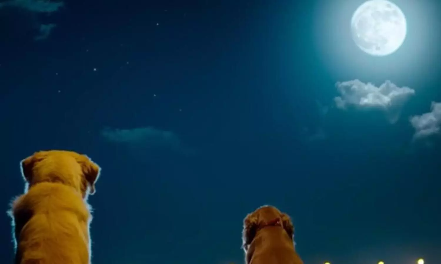 Valatty  Tale of Tails Movie Trailer Out