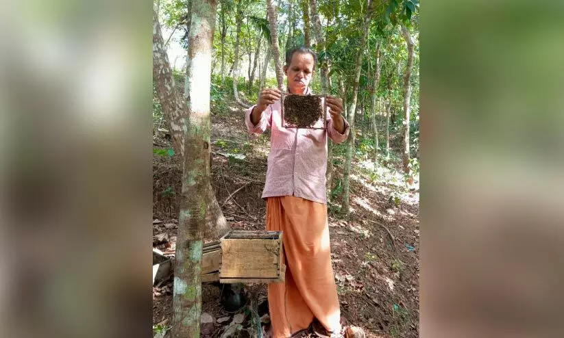 മോര് ഇനി കൂടുതൽ പുളിക്കില്ല; ഇത് രാജന്റെ സാക്ഷ്യം