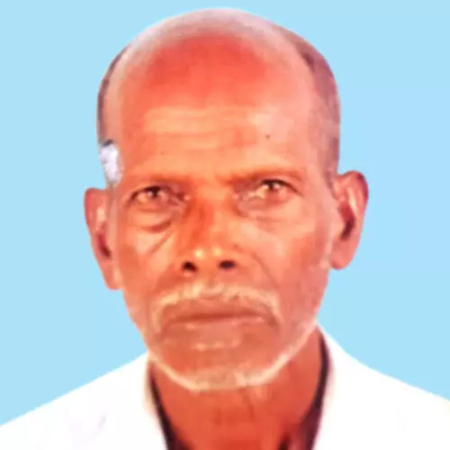 ക​ട​ന്ന​ൽ​ക്കു​ത്തേ​റ്റ് വ​യോ​ധി​ക​ൻ മ​രി​ച്ചു