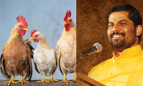 Swami Sandeepananda Giri