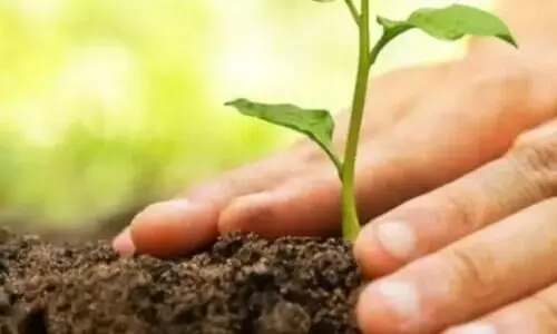 Forest water climate day March days