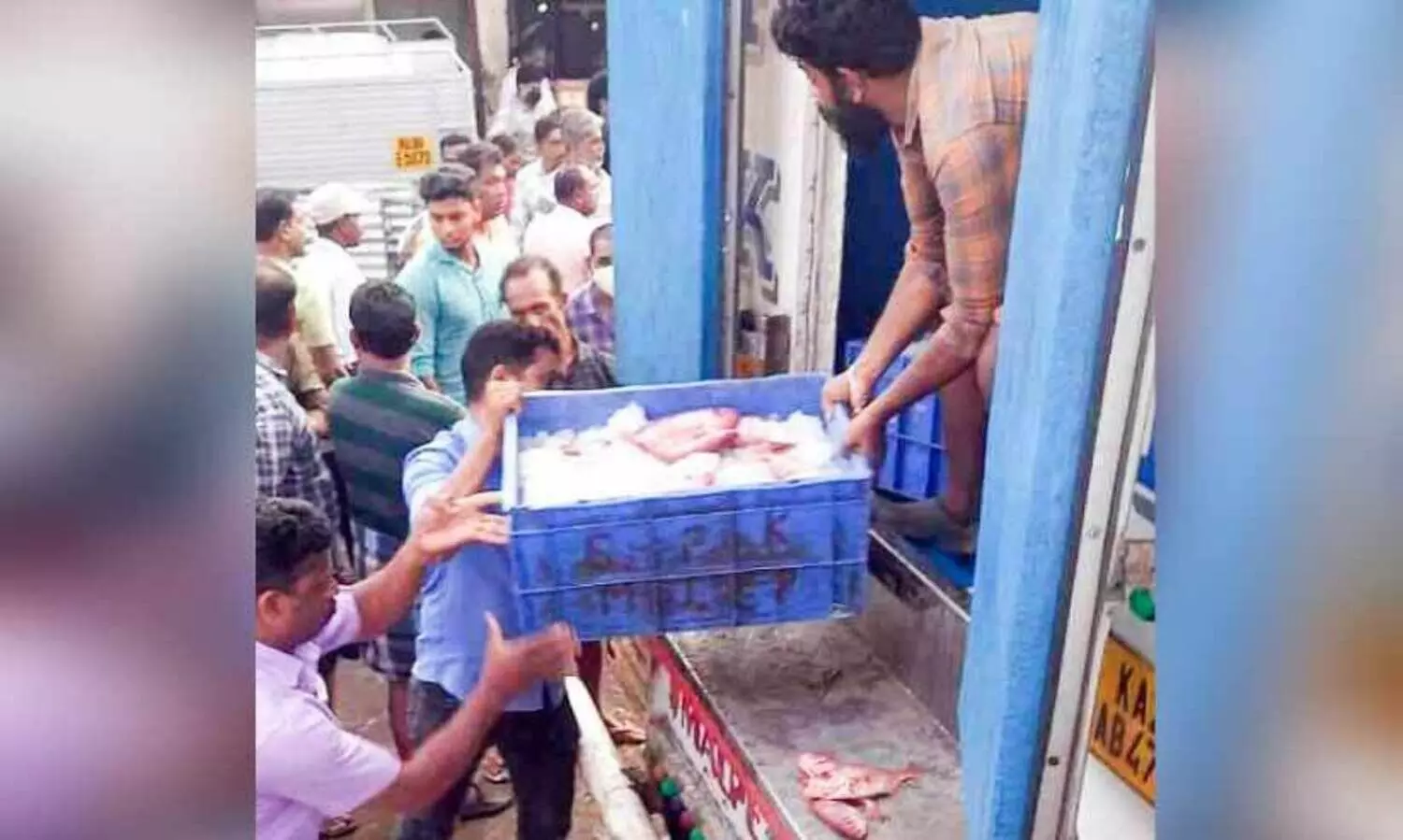 ചമ്പക്കര മീന്‍ മാര്‍ക്കറ്റില്‍ വില്‍പനക്കെത്തിച്ച പഴകിയ മീന്‍ പിടിച്ചെടുത്തു