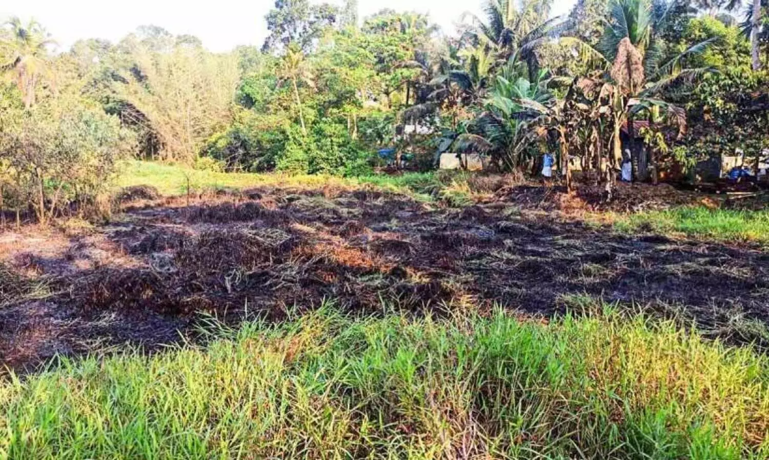 തരിശുനിലത്തിൽ തീ പടർന്നു; നാട്ടുകാരും അഗ്നിരക്ഷ സേനയും ചേര്‍ന്ന് അണച്ചു