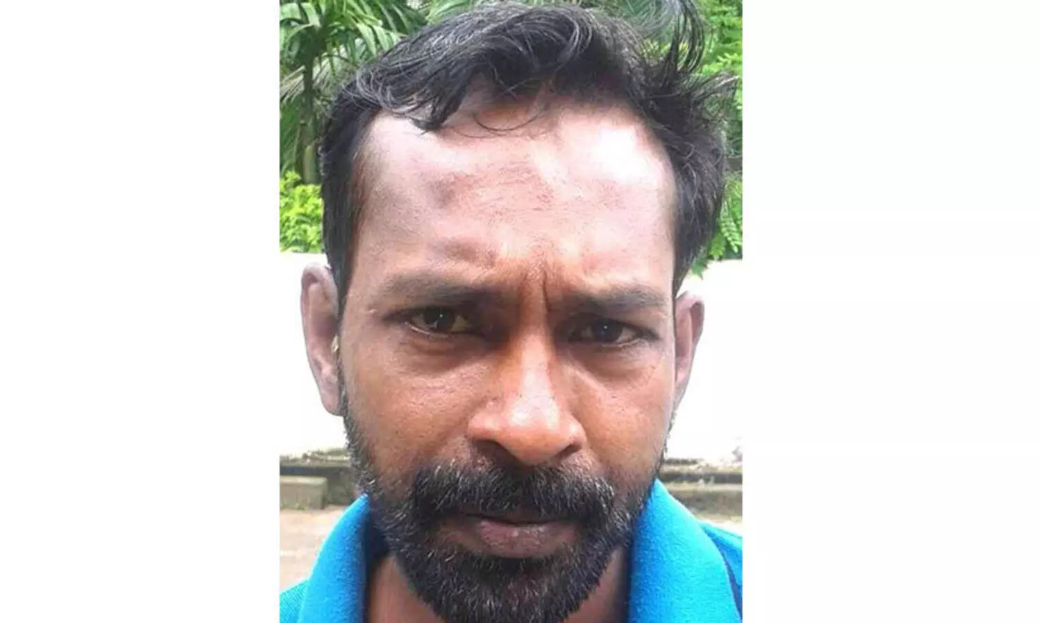 മരം മുറിക്കുന്നതിനിടെ തടി ദേഹത്ത് വീണ് തൊഴിലാളി മരിച്ചു