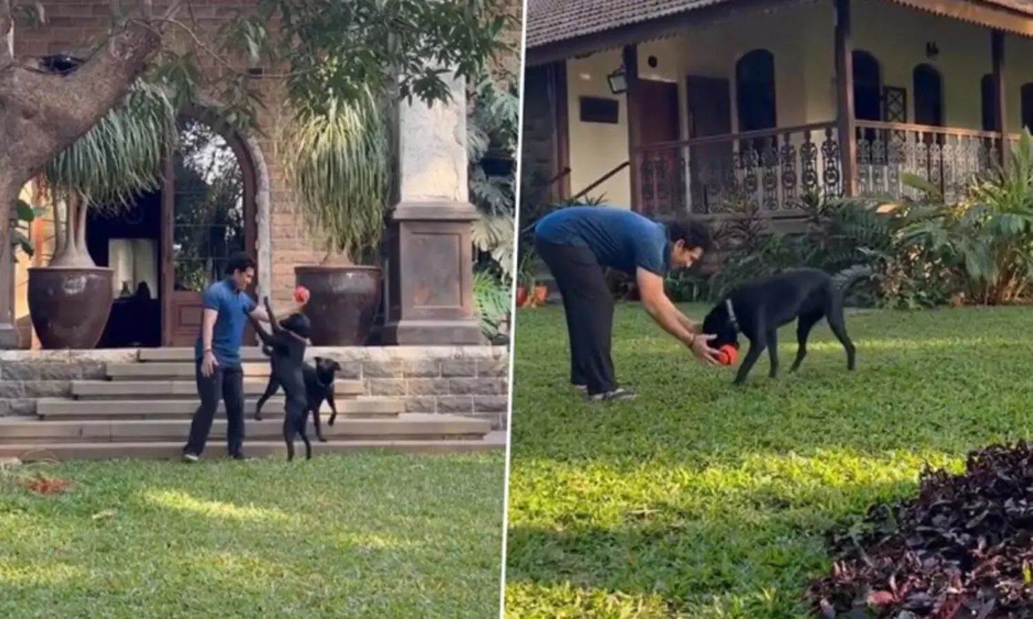 ‘ഇവരില്ലെങ്കിൽ വീട് വീടാകില്ല’; വളർത്തു നായകൾക്കൊപ്പം കളിക്കുന്ന വിഡിയോ പങ്കിട്ട് സചിൻ; ഏറ്റെടുത്ത് ആരാധകർ