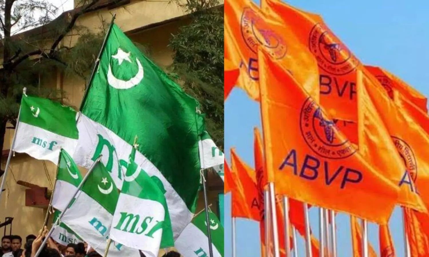 msf, abvp, hyderabad university