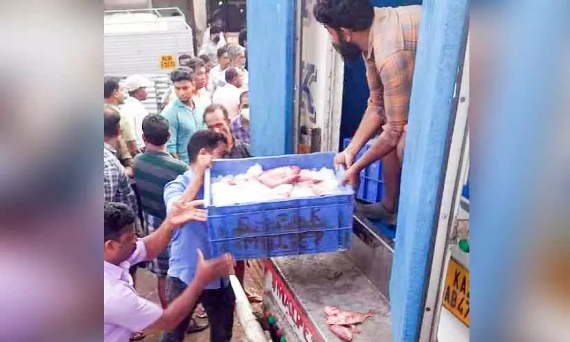 ചമ്പക്കര മീന്‍ മാര്‍ക്കറ്റില്‍ വില്‍പനക്കെത്തിച്ച പഴകിയ മീന്‍ പിടിച്ചെടുത്തു