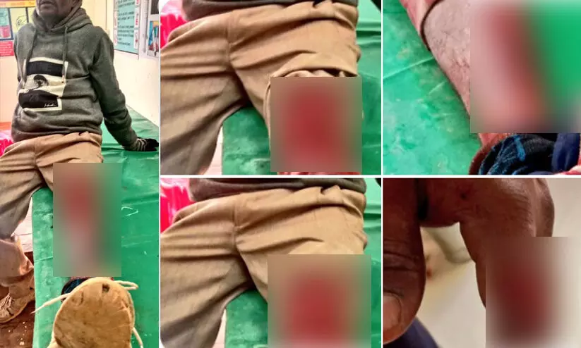 Tripura Assembly election