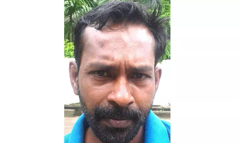 മരം മുറിക്കുന്നതിനിടെ തടി ദേഹത്ത് വീണ് തൊഴിലാളി മരിച്ചു