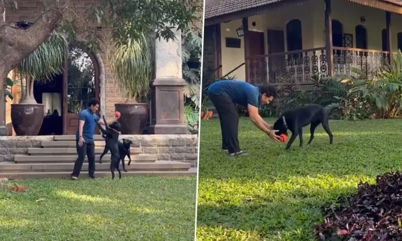 ‘ഇവരില്ലെങ്കിൽ വീട് വീടാകില്ല’; വളർത്തു നായകൾക്കൊപ്പം കളിക്കുന്ന വിഡിയോ പങ്കിട്ട് സചിൻ; ഏറ്റെടുത്ത് ആരാധകർ
