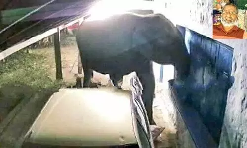 17ാം വട്ടവും അവരെത്തി; പുണ്യവേലിന്‍റെ കട കാലിയാക്കി മടങ്ങി