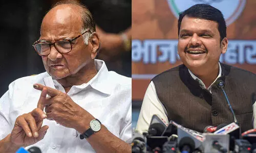 pawar and fadnavis 09