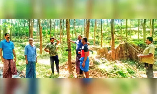 Unknown creature Unknown creature