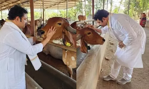 ‘സൗകര്യം കിട്ടുമ്പോൾ പശുക്കളുടെ അടുത്ത് ചെന്ന് നിൽക്കുക. അവയുടെ കണ്ണുകളിലേക്കു നോക്കുക’-വൈകാരിക കുറിപ്പുമായി കൃഷ്‌ണകുമാർ