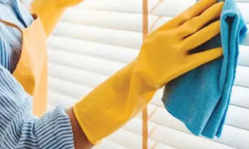 prohibiting domestic business