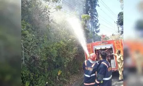 വനം വകുപ്പിന്‍റെ 10 ഏക്കർ തോട്ടം കത്തിനശിച്ചു