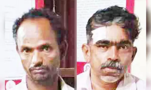 tried to cut sandalwood tree