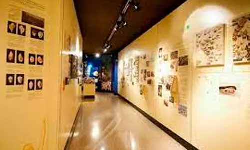 Natural History Museum