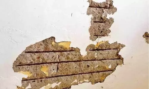 തേക്കടി ട്രൈബൽ സ്കൂൾ കെട്ടിടം അപകടാവസ്ഥയിൽ