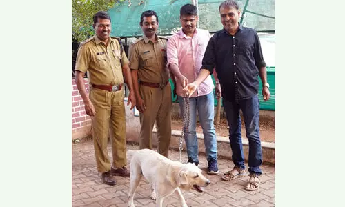 വളർത്തു നായ്ക്കള്‍ ജയില്‍ മോചിതരായി ഇനി ഇബ്രാഹിമിന് സ്വന്തം