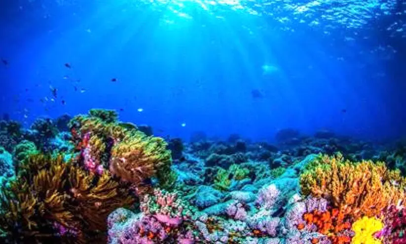 ചെ​ങ്ക​ട​ൽ