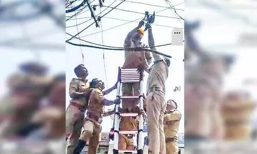 വൈദ്യുതി ലൈനിൽ കുടുങ്ങിയ പ്രാവിനെ രക്ഷിച്ച് അഗ്നിരക്ഷാസേനയും  കെ.എസ്.ഇ.ബി ജീവനക്കാരും