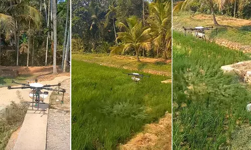ഒരേക്കറിൽ മരുന്ന് തളിക്കാൻ വെറും എട്ട് മിനിറ്റ്; തറോപ്പൊയിൽ പാടത്ത് ഡ്രോൺ പറന്നു