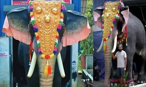 പനംപട്ട വേണ്ട , മദം പൊട്ടില്ല; ലക്ഷണമൊത്ത ആന റോബോട്ടിനെ നടയിരുത്താനൊരുങ്ങി ക്ഷേത്രം