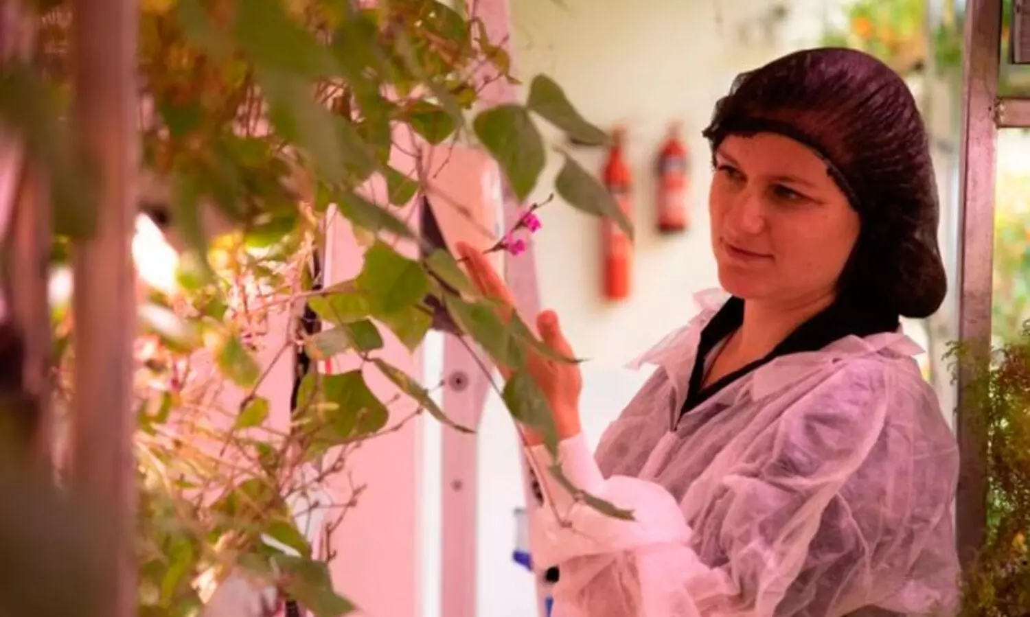 റ​സ്റ്റാ​റ​ന്‍റു​ക​ളി​ൽ സു​ഗ​ന്ധം വി​ള​മ്പു​ന്ന​വ​ൾ