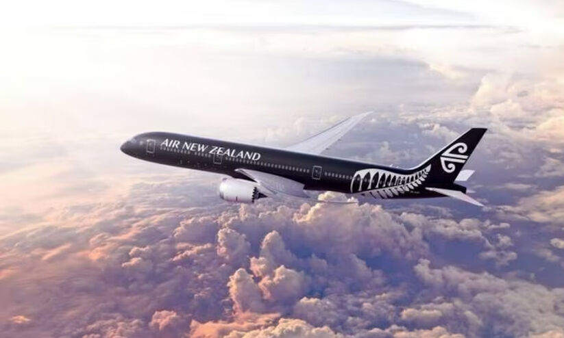 Air New Zealand passengers landed back where they started after a 16-hour flight