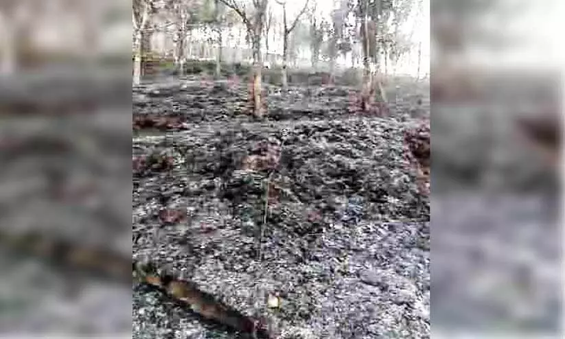 കൊടികുത്തിയിൽ അഞ്ച് ഏക്കറോളം റബർ തോട്ടം കത്തിനശിച്ചു