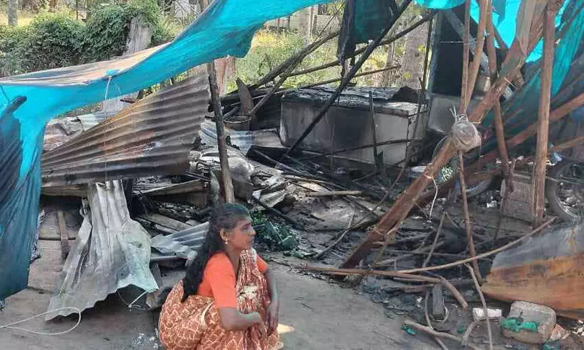 കായംകുളത്ത് വിധവയുടെ വഴിയോരത്തെ പെട്ടിക്കടക്ക് തീയിട്ടു കായംകുളത്ത് വിധവയുടെ വഴിയോരത്തെ പെട്ടിക്കടക്ക് തീയിട്ടു