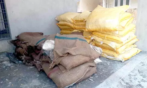 Prohibited tobacco products seized