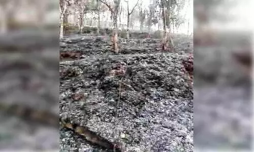 കൊടികുത്തിയിൽ അഞ്ച് ഏക്കറോളം റബർ തോട്ടം കത്തിനശിച്ചു