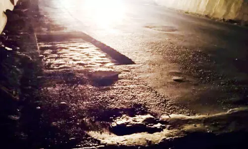 Pappinissery Flyover