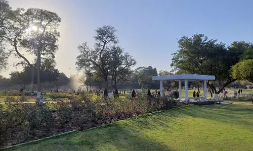 സർഗാത്മകത തുളുമ്പുന്ന ചണ്ഡിഗഡ് നഗരം