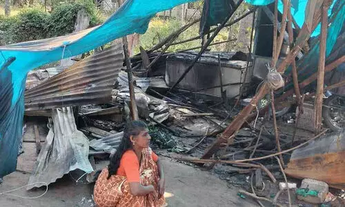 കായംകുളത്ത് വിധവയുടെ വഴിയോരത്തെ പെട്ടിക്കടക്ക് തീയിട്ടു