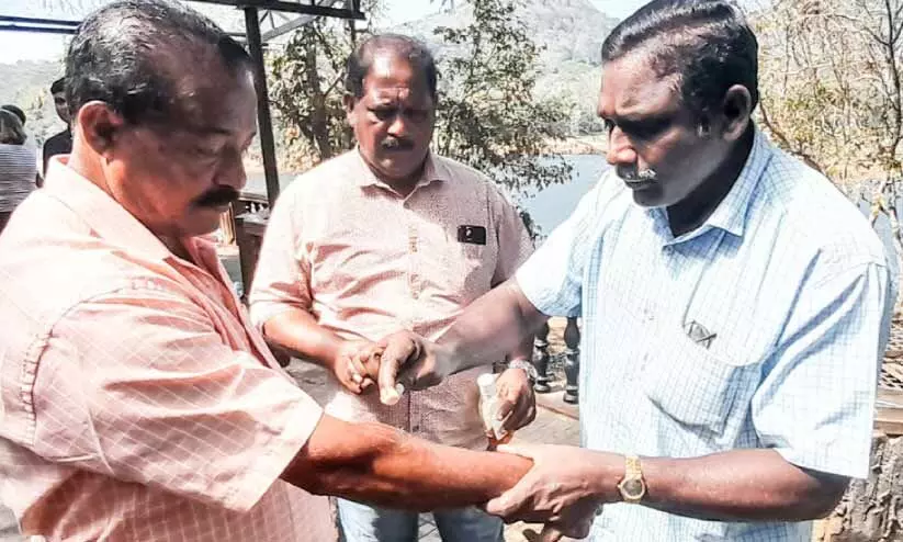തേക്കടിയിൽ രണ്ട് സഞ്ചാരികൾക്ക് കുരങ്ങിന്‍റെ കടിയേറ്റു