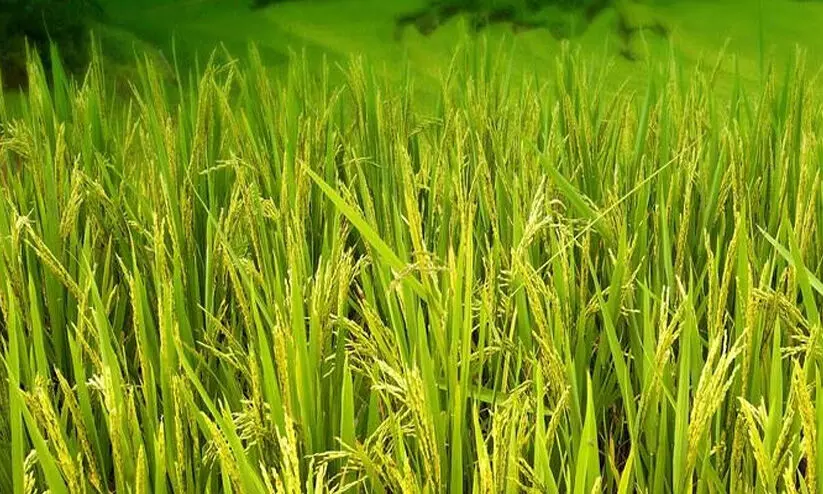 controversy in farmers journey controversy in farmers journey