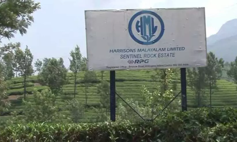 ഹാരിസൺസ് ഭൂമി : ഇടുക്കിയിലെ കേസുകൾ ഫയൽ ചെയ്യുന്നതിനുള്ള ചുമതല അഡ്വ. സജി കൊടുവത്തിന് ഹാരിസൺസ് ഭൂമി : ഇടുക്കിയിലെ കേസുകൾ ഫയൽ ചെയ്യുന്നതിനുള്ള ചുമതല അഡ്വ. സജി കൊടുവത്തിന്