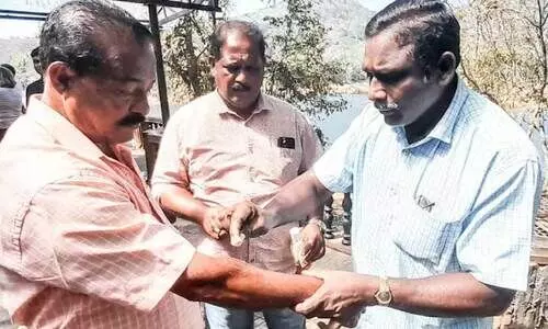 തേക്കടിയിൽ രണ്ട് സഞ്ചാരികൾക്ക് കുരങ്ങിന്‍റെ കടിയേറ്റു