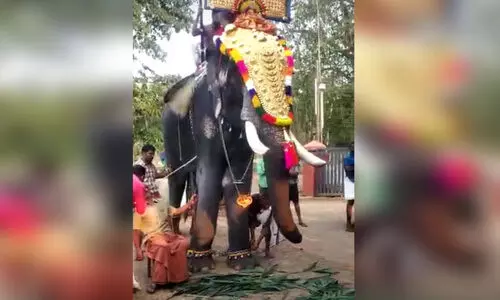 എഴുന്നള്ളിപ്പിനിടെ ‘നിയന്ത്രണം വിട്ട്’ പാപ്പാൻ; ആനയെ നിയന്ത്രിച്ചത് കസേരയിലിരുന്ന്